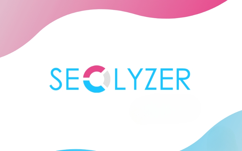 Phần mềm Seo Seolyzer
