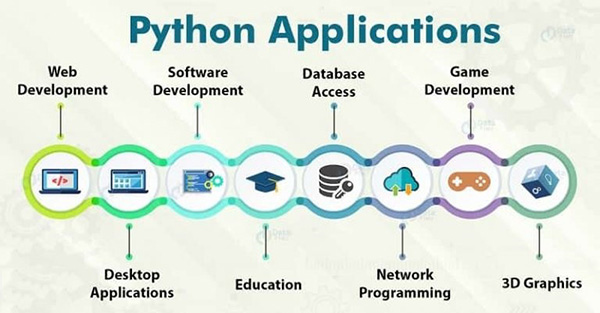 Python Developer là gì