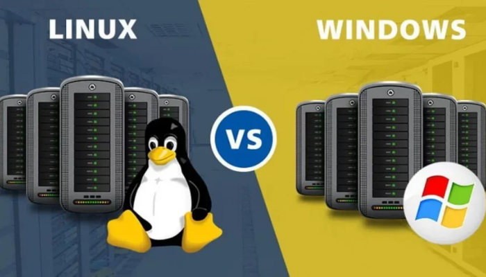 Hosting Windows và Hosting Linux nên chọn cái nào