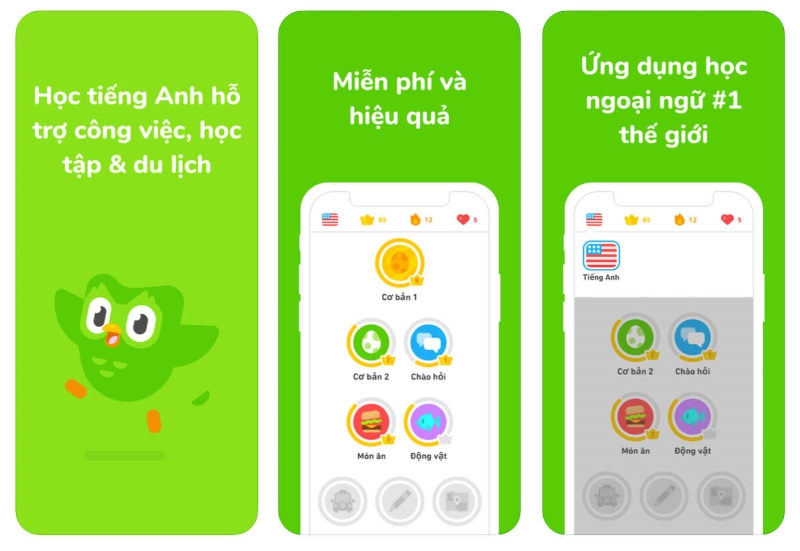 Duolingo - Trang web học tiếng Anh miễn phí cho trẻ em