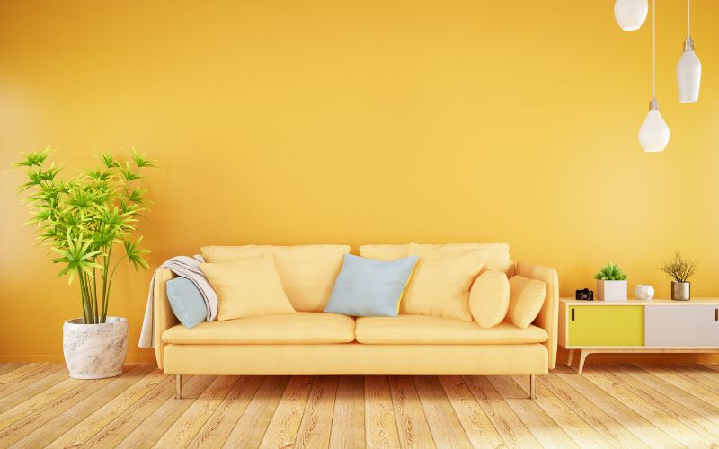 Sử dụng các gam màu nổi bật